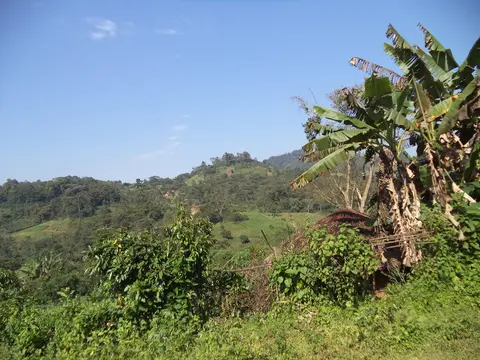 Muza gyava yiqan yisku kam