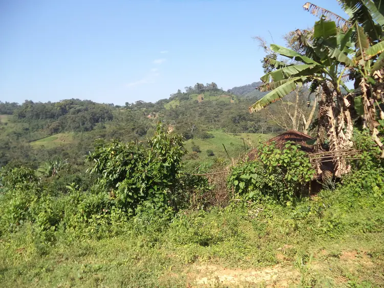 Gyava,muza kamm yiskend