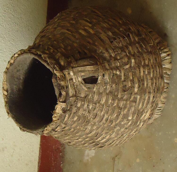 Shapa sas 