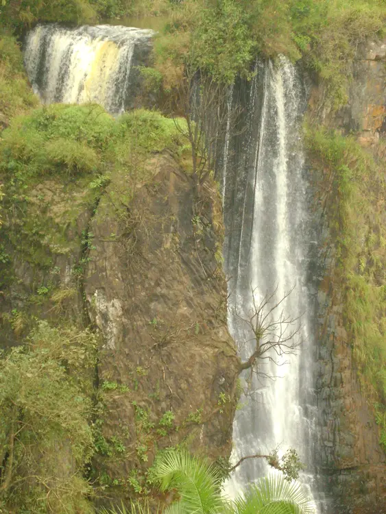 Sakan wortni yisku sov